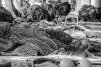 /album/sardinien/unbenannt-14-von-531-jpg/